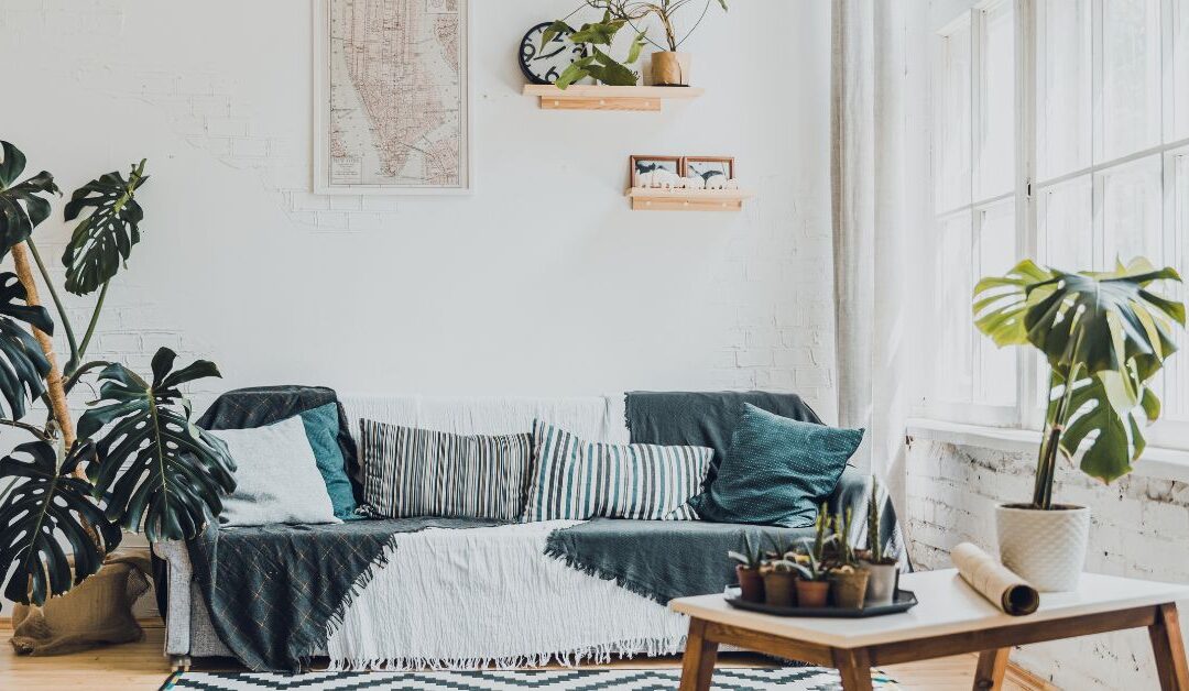 How to Instantly Refresh Your Home with Plants & Greenery (Even If You Have Zero Experience)